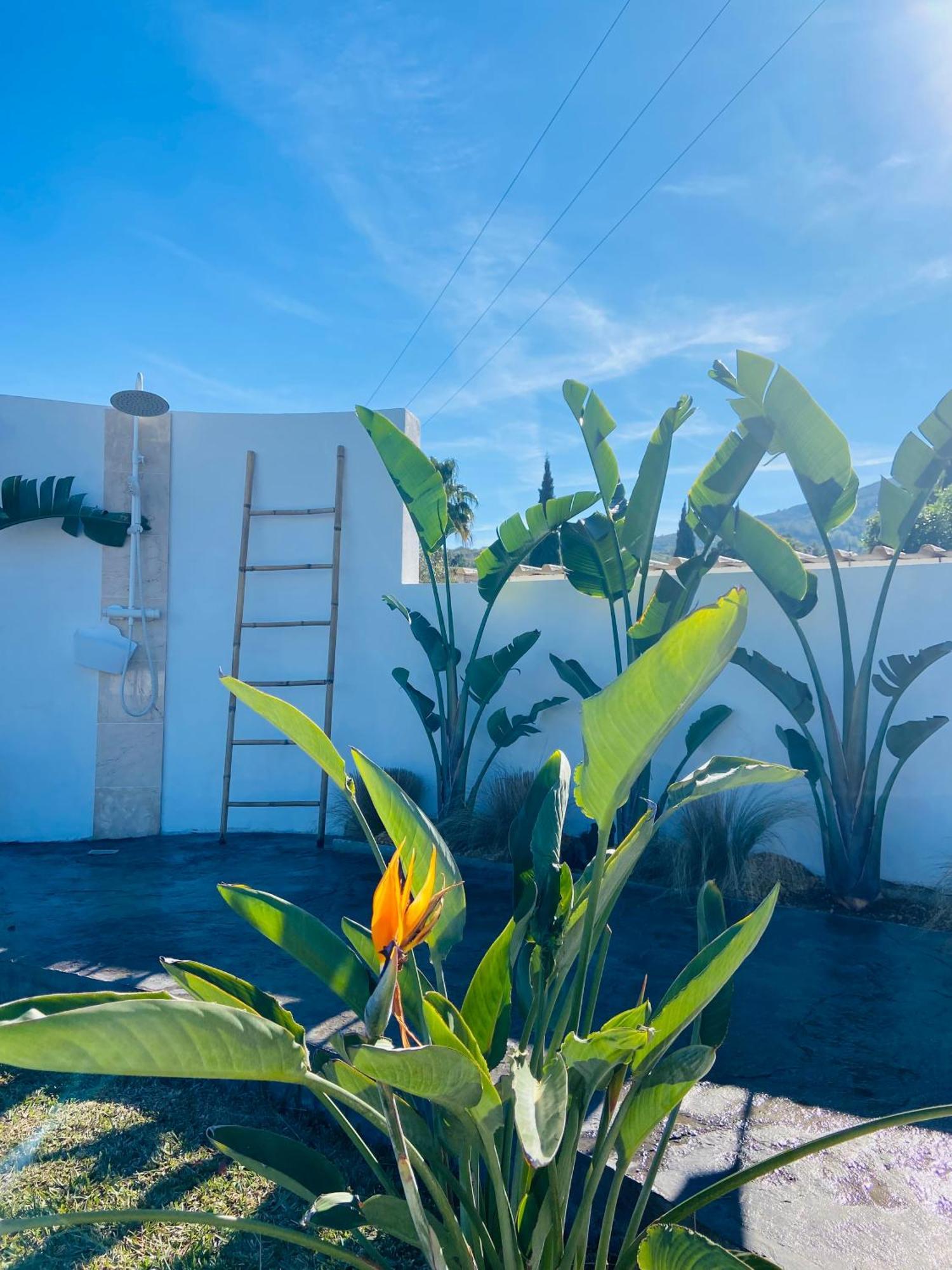 Villa Casa Avellana Dénia Esterno foto