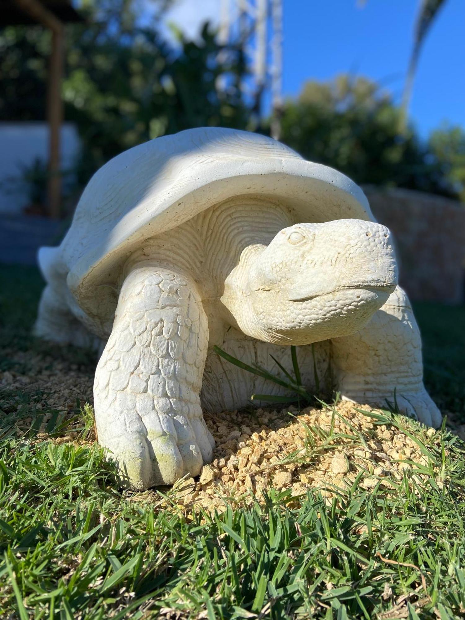 Villa Casa Avellana Dénia Esterno foto